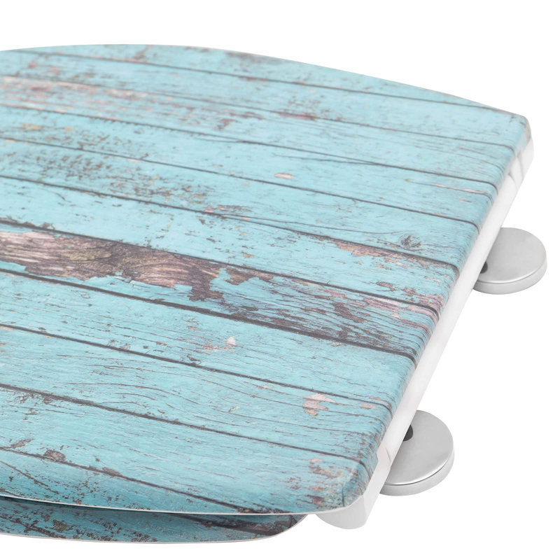 Dejoie Soft Close Elongated Standard Toilet Seat