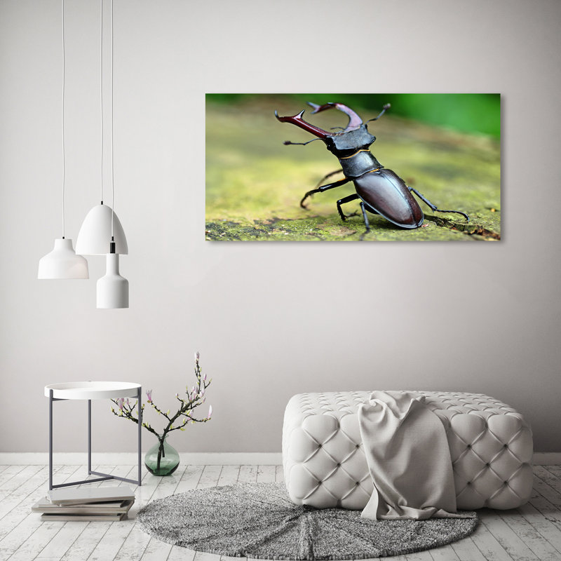 Beetle - Wrapped Canvas Print