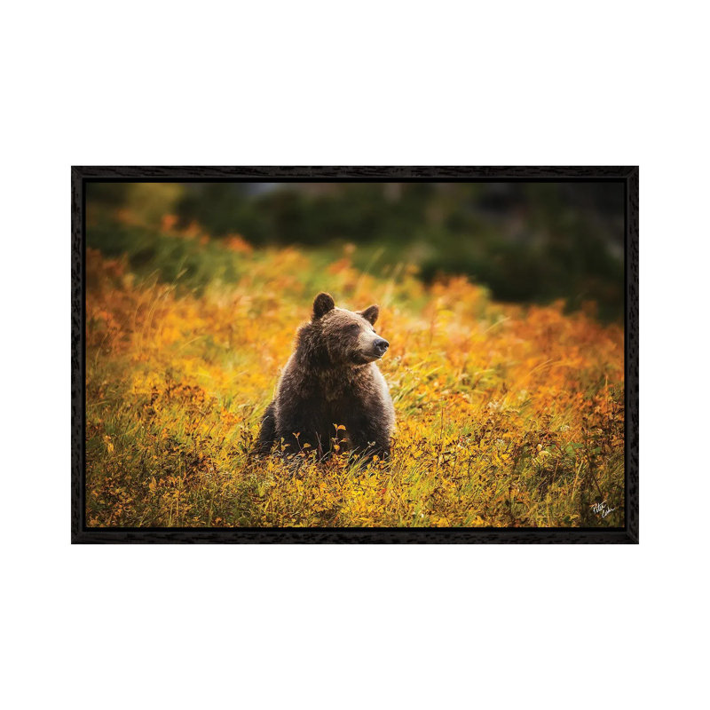 Bear Dreams by Peter Coskun - Floater Frame Gallery-Wrapped Canvas Giclée on Canvas, Black Framed Canvas
