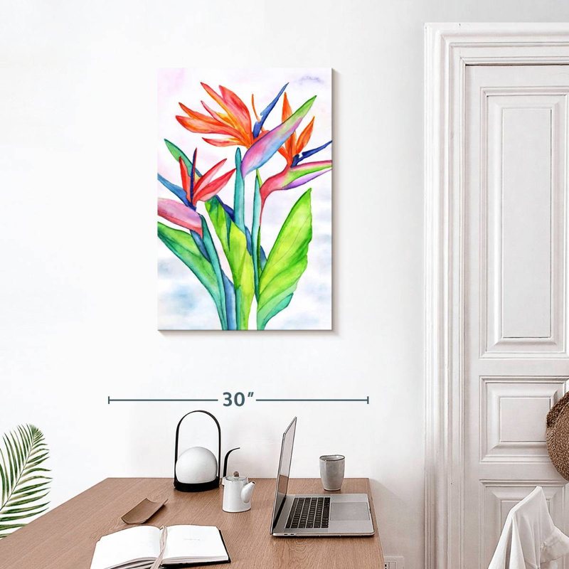 Strelitzias Harnek, H 30 po x l 20 po
