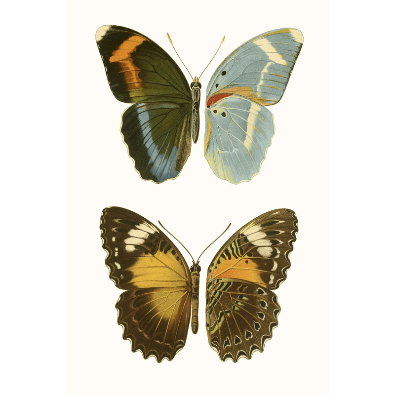 Papillons bleus antiques III, H 36 po x l 24 po x P 1,25 po