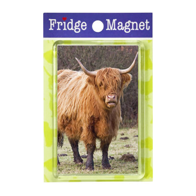 Fridge Magnet