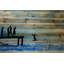 «Feet First» par Parvez Taj, reproduction sur bois-23840606