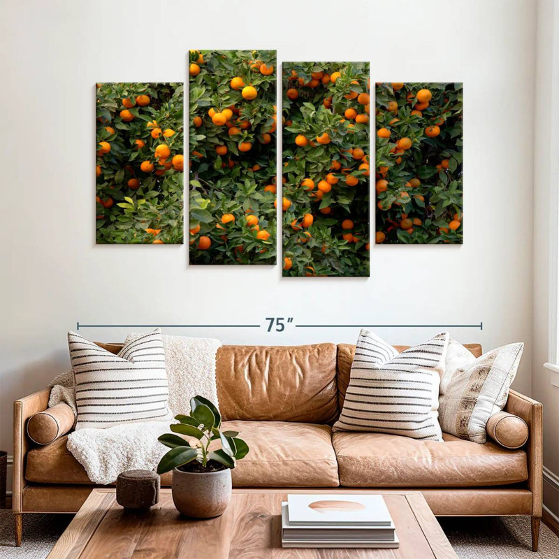 Oranges Harnek Valencia, H 42 po x l 68 po