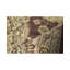 Wool Area Rug
