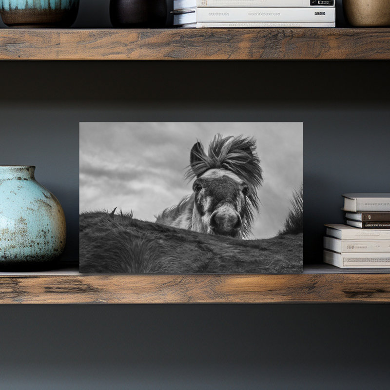 Curious Horse Wild Mane Dramatic Abstract Contemporary Horse Nature Portrait Wall Art Print by Bragi Ingibergsson - - Wrapped Canvas Print