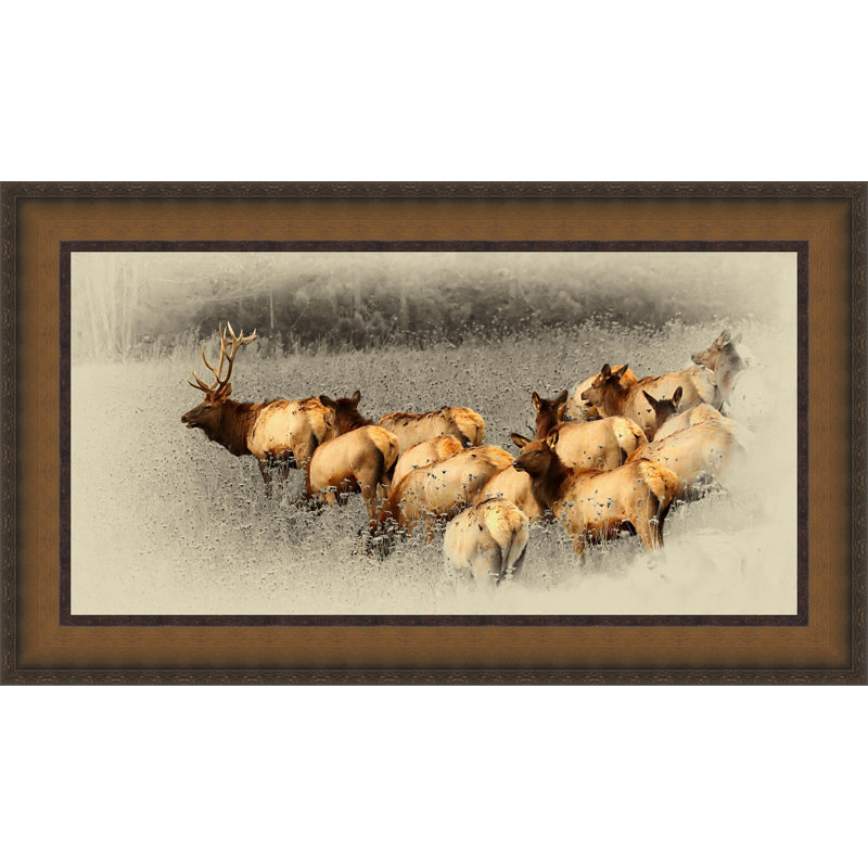« elk troupeau », reproduction de photo sur toile encadrée