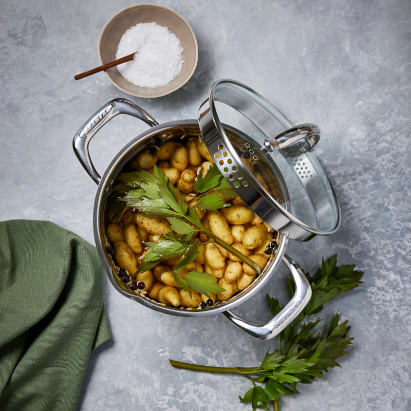 SCANPAN STS Dutch Oven, 20cm Dutch Oven