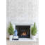Birch Trees 10' L x 24" W Wallpaper Roll-1694710062