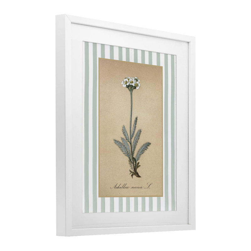 Wild Herb avec rayures vertes, reproduction encadrée sous verre, design avec lettres et doublure, H 21 po x l 17 po