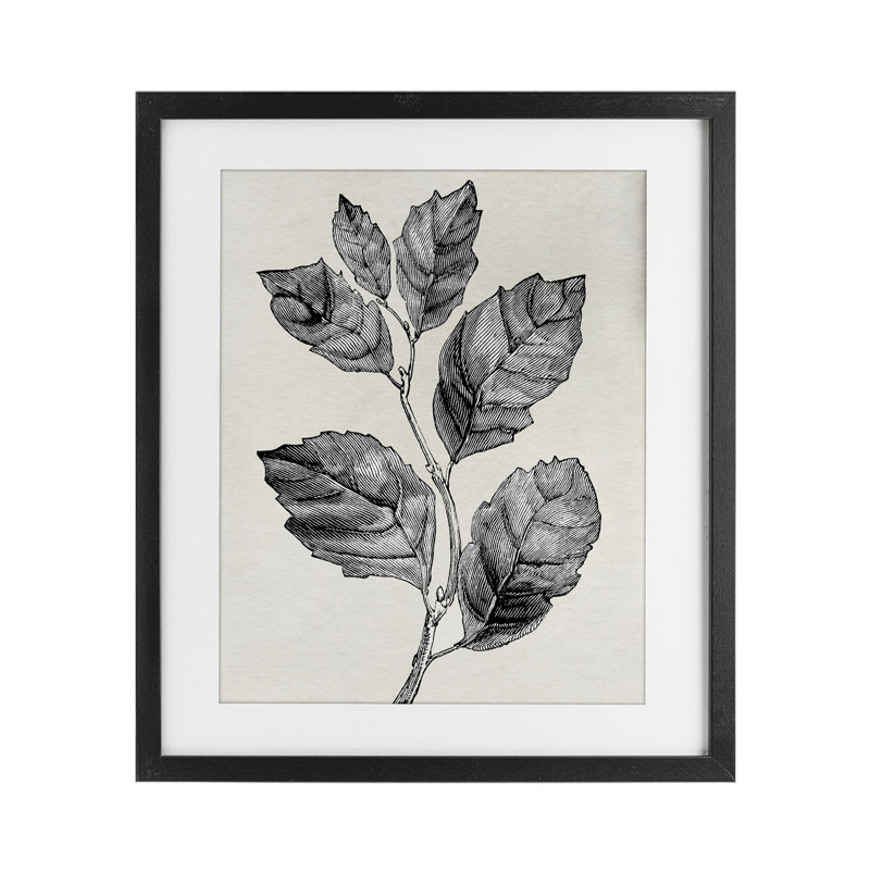 «Classic Leaf Branch», reproduction encadrée sous verre, par Karen Smith, H 16 po x l 13 po, Cadre noir minuit