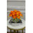 Caruthersville Hydrangea Arrangement in Vase