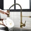Black And Gold Kitchen Faucet With Pull Down - To Impact , Stable Water Supply, Versatile Spray Functions Contemporary Sink Construction, Dampness, Efficient Pattern