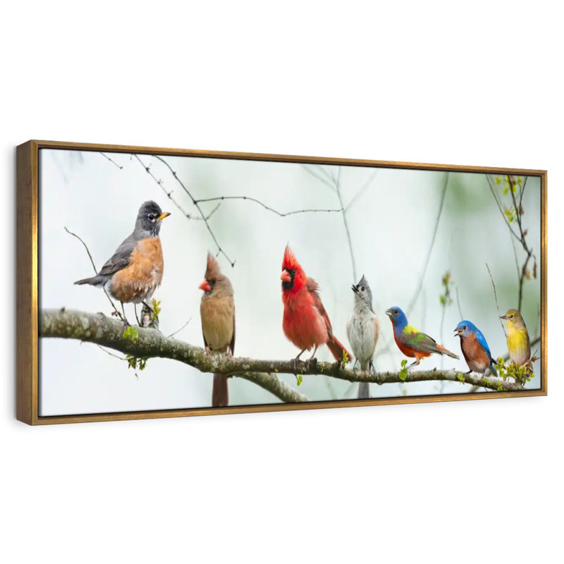 Rassemblement d'oiseaux, Cadre flottant doré, 37 po x 13 po