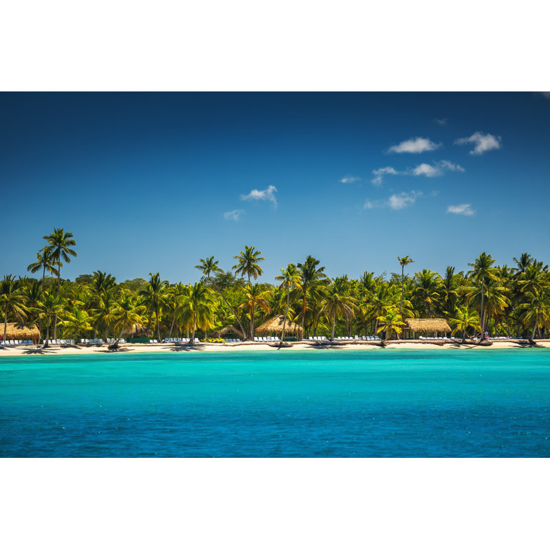 Palmiers sur la plage - Photographie sur toile tendue, L 12 po x H 8 po