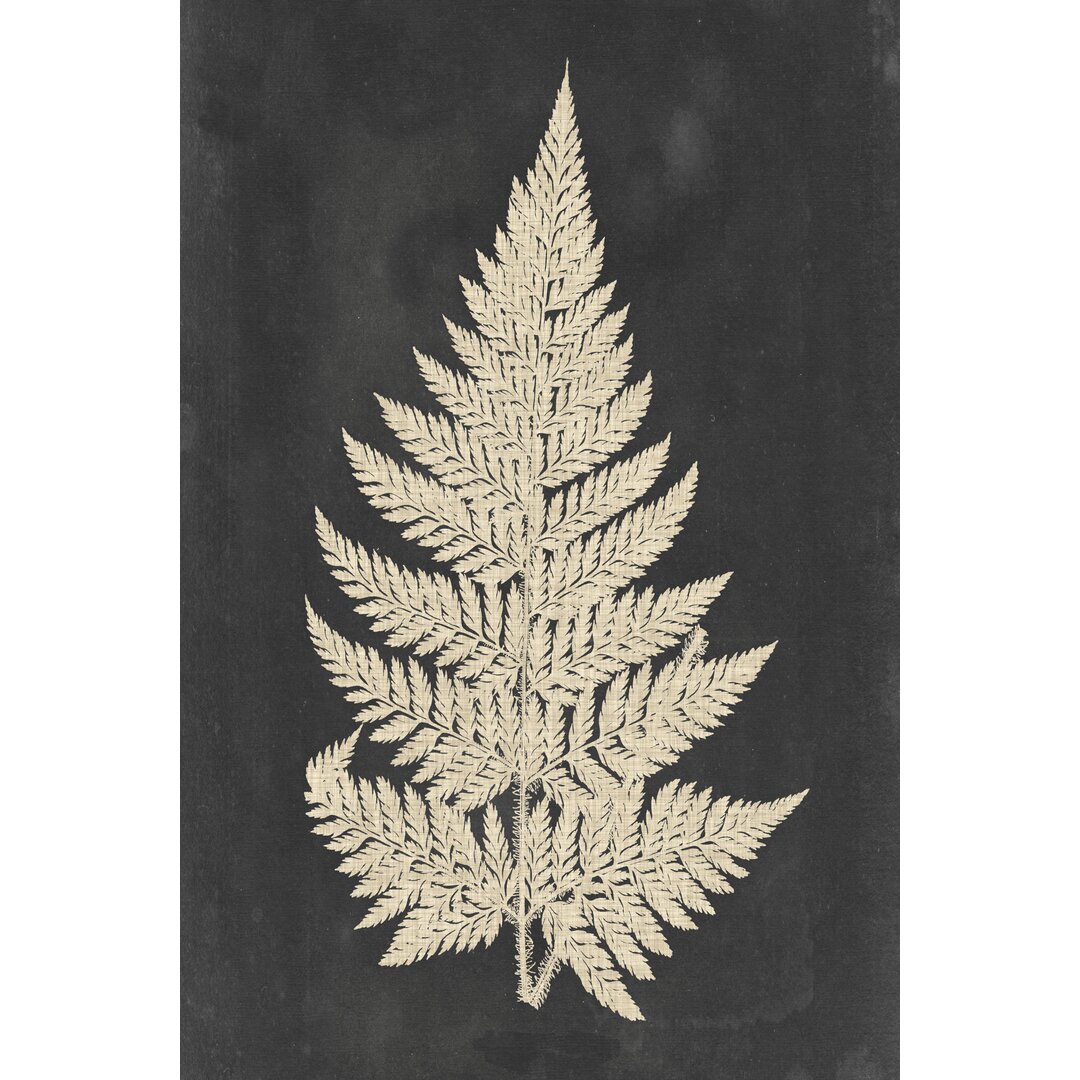 Leinwandbild Linen Fern I von Vision Studio