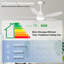 Ceiling Fan with Light Kit