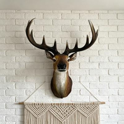 Buste en cerf 14,57 po