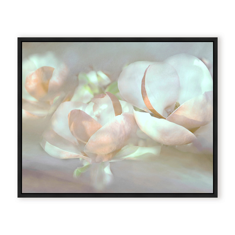 Nature Inspired Magnolia Dreams, 24" H x 30" W x 1.125" D, Framed Matted Print, White