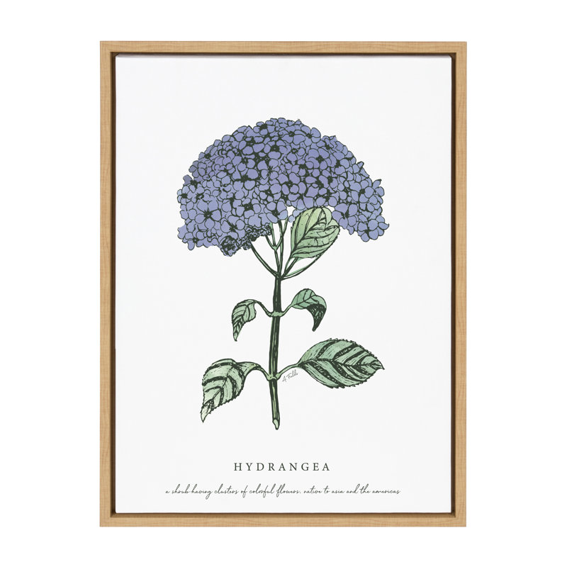 «Blooming Hydrangea» par déclaration sur toile encadrée, Brun
