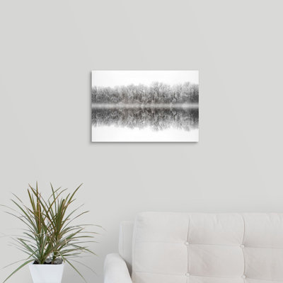 " White Purity " by Philippe Sainte-Laudy