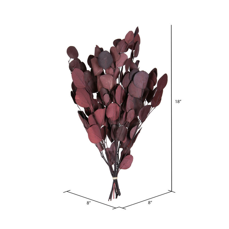 0.25'' Plant