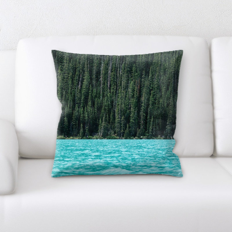 Coussin décoratif résineux