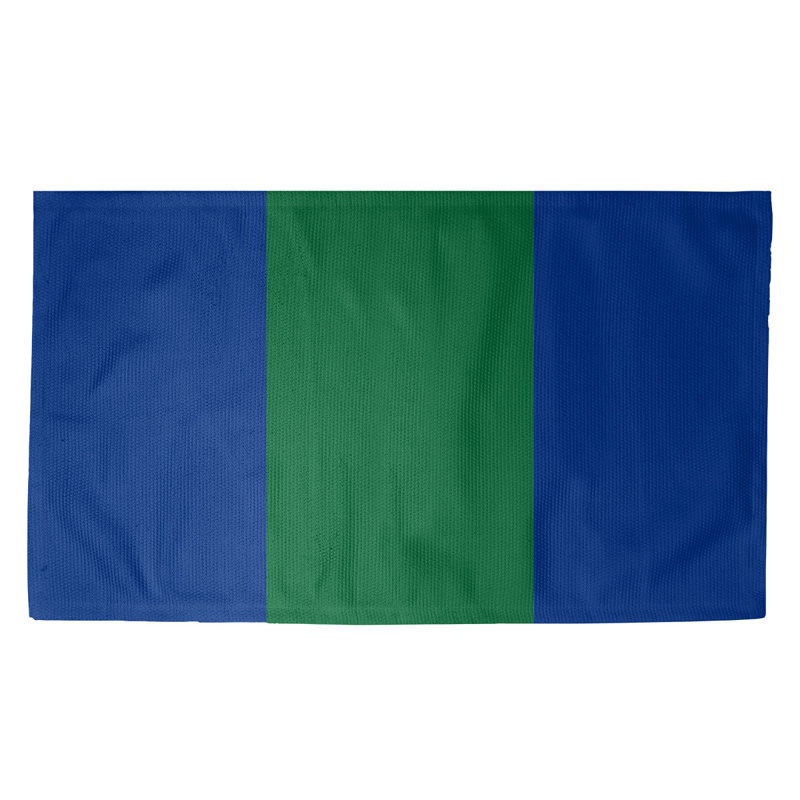 Tapis bleu football retour seattle, Rectangle 2 pi x 3 pi, Oui
