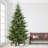 Gracijus Lighted Christmas Tree