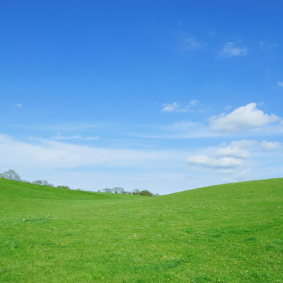 Lush Green Field by Akabei - Wrapped Canvas Print