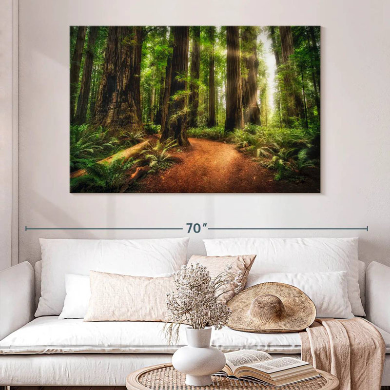Lever de soleil au parc d'État Jedediah Redwoods, H 34 po x l 51 po