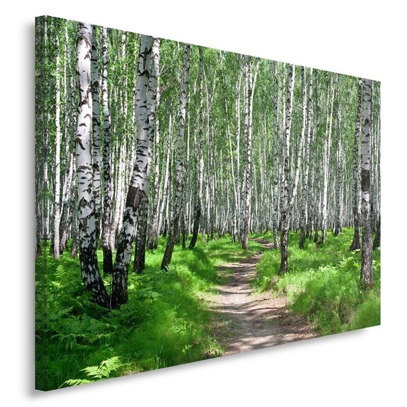 Leinwandbild - Grafikdruck „Birch Forest 2”