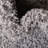 Santosha Shag Rug-586692926-607378055