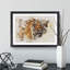 Tiger Vol.7 Watercolour - Picture Frame Graphic Art-62806999-62807001