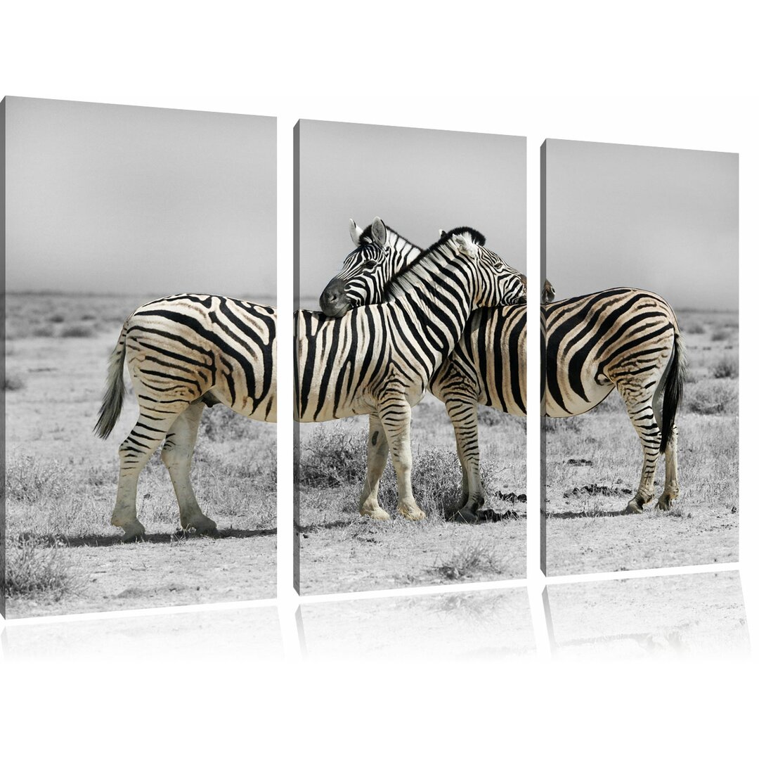 3-tlg. Leinwandbilder-Set „Zebras in der Savanne“, Fotodruck