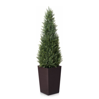 48 " Cedar in Decorative Vase