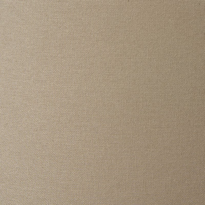 153cm Matte Traditional Floor Lamp