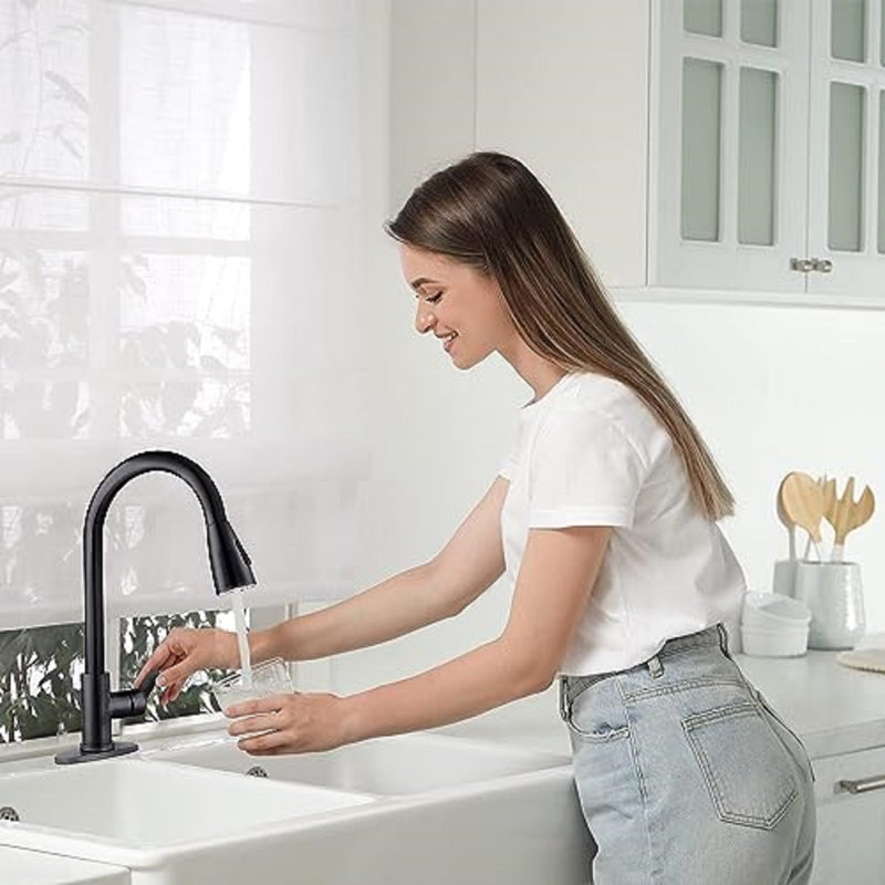Mega Handles - Robinet de cuisine escamotable à robinet simple, Noir mat