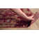 Guarino Oriental Indoor Rug