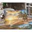 Drap-housse et coussin décoratif Ambesonne-106790363