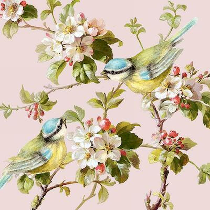 Serviettes jetables en papier Branches and Birds