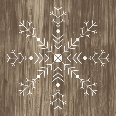 Barnwood Wonderland I by June Erica Vess - Wrapped Canvas Painting