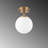 Shaylan 1 - Light Single Pendant