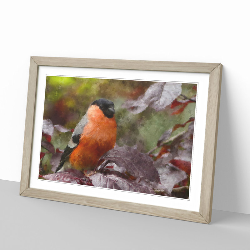 Bullfinch Bird - Picture Frame Painting, 48cm H x 65cm W x 2cm D, Oak Framed