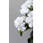 White Artificial Geranium Bush 15"-136068614