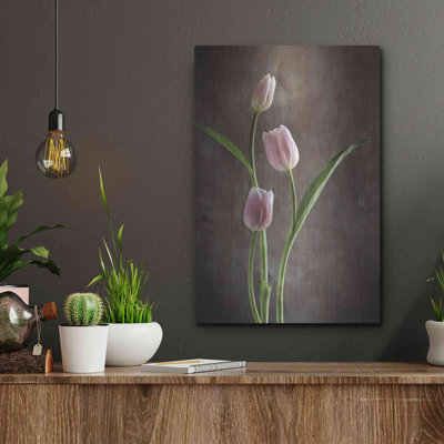 «Tulipes du printemps» par Debra Van S