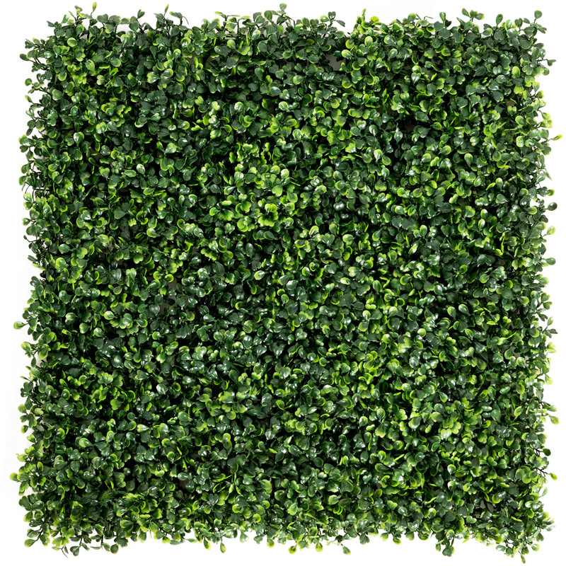 2 ft. H x 2 ft. W Artificial Topiary Polyethylene Privacy Screen