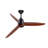 Hot Sales 52 Inch Modern Black Ceiling Fan With 3 Color Dimmable 3 Solide Wood Blades Remote Control Reversible DC Motor With Led Light-1074207685-1074207704