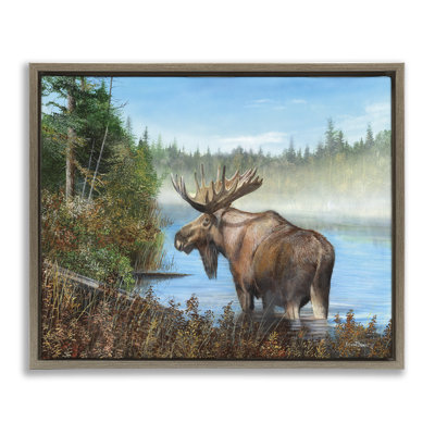 Rustic Moose Wading In Shore Framed Floater Canvas Wall Art By Kevin Daniel