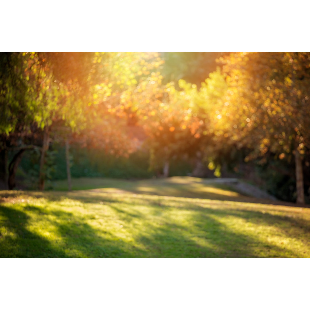 Defocused Park von Dlinca - Druck